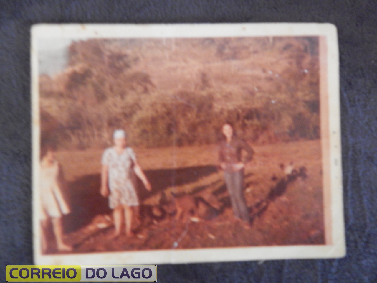 Maria Morelli Correia no centro tratando porcos na chácara da família em Vera Cruz do Oeste. A esquerda Marta e a direita Sônia Correia (prima). 1980. Maria Morelli Correia no centro tratando porcos na chácara da família em Vera Cruz do Oeste. A esquerda Marta e a direita Sônia Correia (prima). 1980.
