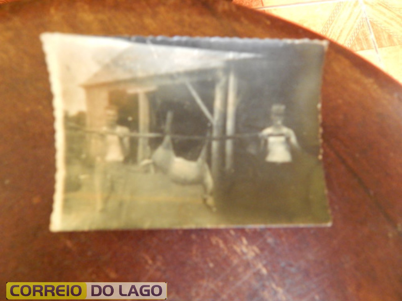 Pardo abatido por Normindo Fockink quando voltava com a esposa Leocádia de Marechal Cândido Rondon. Década de 1960. Pardo abatido por Normindo Fockink quando voltava com a esposa Leocádia de Marechal Cândido Rondon. Década de 1960.