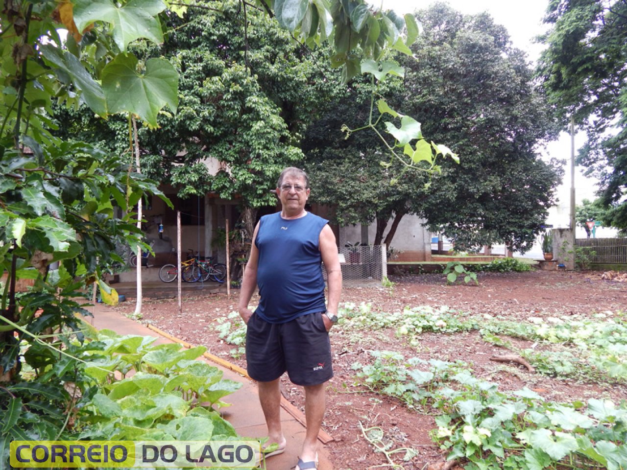 Luis C. Kozerski disse também que a vegetação que aparece ao fundo são gabiroveiras plantadas em 1964, ao redor da residência da família SH.