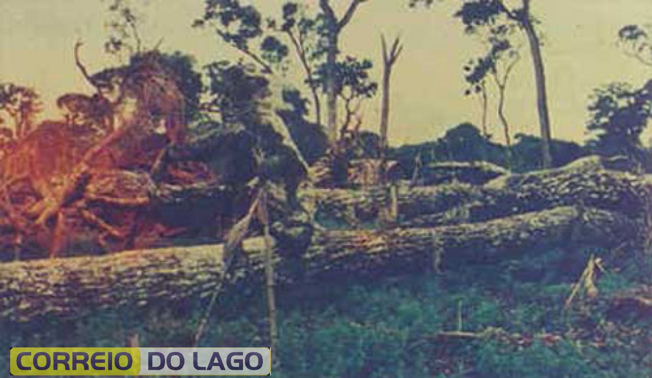 Durante um curto período de tempo a hortelã revelou-se como fonte de renda para os agricultores que se estabeleceram em Santa Helena e região. A fotografia nos dá uma ideia de como a hortelã era cultivada. Note que a mata havia sido recém derrubada e a hortelã era plantada em meio às toras, já que necessitava de terras novas e, portanto, muito férteis. 