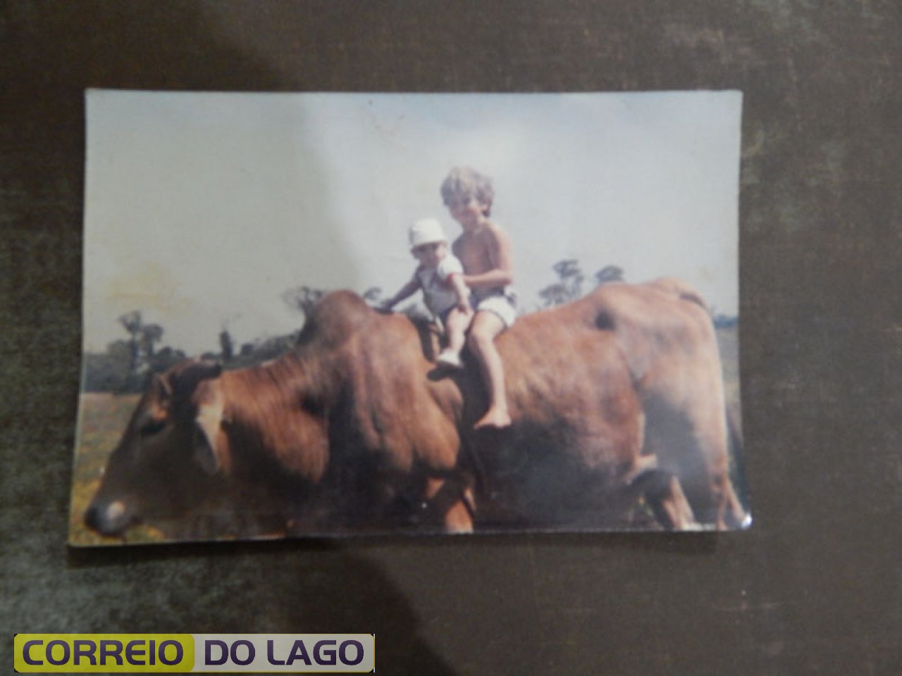Filhos de José Carvalho da Silva sobre o boi - maior Adriano Carvalho da Silva e o menor Daniel Carvalho da Silva (atualmente funcionário da Rádio G. Lago SH). Filhos de José Carvalho da Silva sobre o boi - maior Adriano Carvalho da Silva e o menor Daniel Carvalho da Silva (atualmente funcionário da Rádio G. Lago SH).