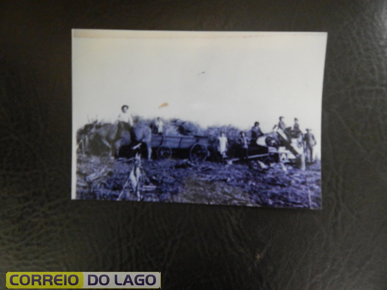 Até a década de 1970 a colhedeira que aparece na foto era muito usado pelos agricultores de nossa região