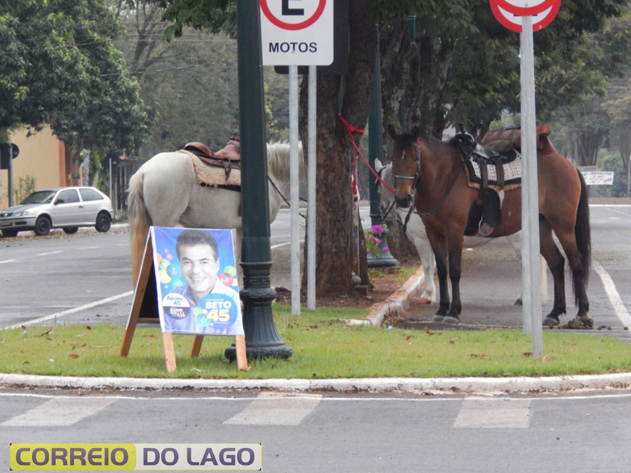 Outro meio de transporte muito usado na época da colonização de SH