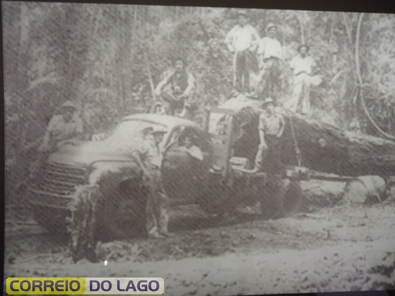 As gigantes madeiras que havia no início da colonização de Santa Helena e região. E como era extraída a vegetação que existia no passado.