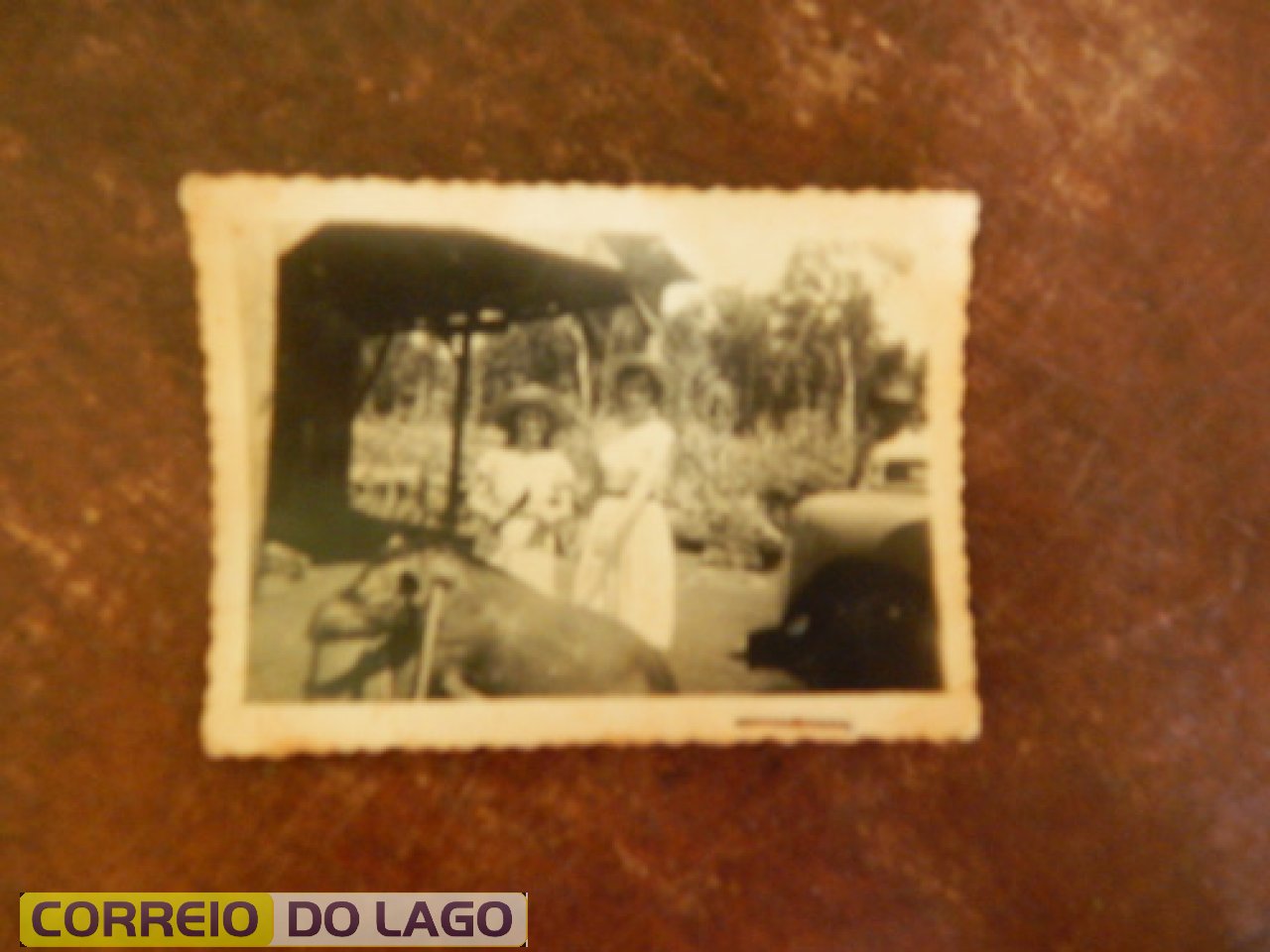 Anta, animal silvestre abatida durante caçada nas matas de SH pela família Fokink. Direita da foto - Leocádia e sua irmã alma Busseler, olhando atônitas o animal morto. Déc. de 1960. Anta, animal silvestre abatida durante caçada nas matas de SH pela família Fokink. Direita da foto - Leocádia e sua irmã alma Busseler, olhando atônitas o animal morto. Déc. de 1960.