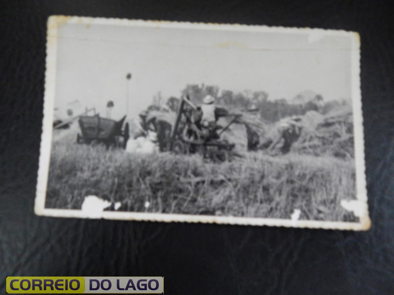 Colheitadeira de cereais e carroções. Instrumentos agrícolas do passado. Década de 1960/70. Muito utilizado pelos agricultores de Santa Helena no início da colonização.