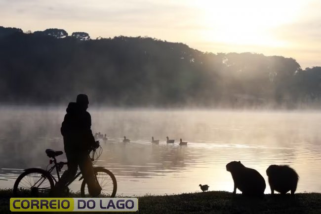 Frio paraná geada curitiba capivara amanhecer — Foto: Orlando Kissner/AEN