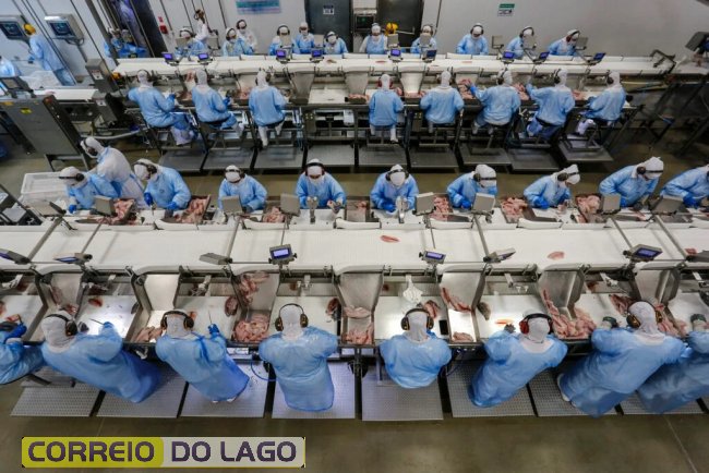 Palotina – Cooperativa C Vale – Industria de Aves e Tilapia – (Foto : Jonathan Campos / AEN)