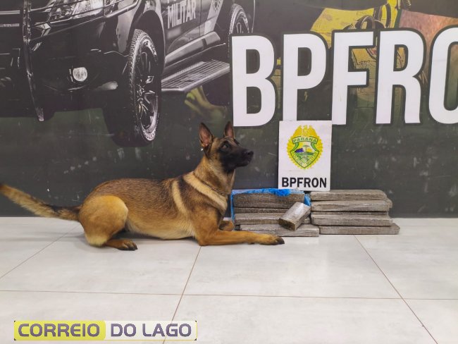 17kg de maconha em Cruzeiro do Oeste