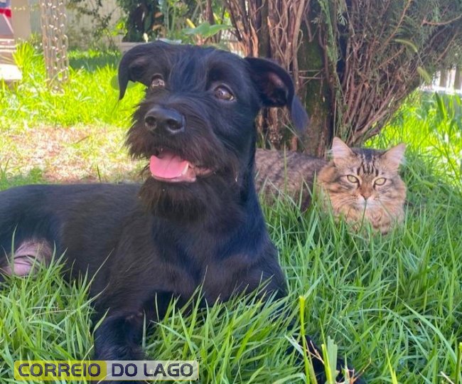 Arquivo pessoal (Samara G. Broggio)